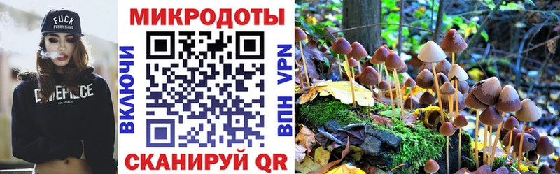 Псилоцибиновые грибы GOLDEN TEACHER Холм